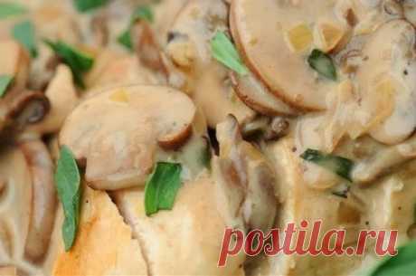 шеф-повар Одноклассники: Салат с куриным филе, сыром и орехами.