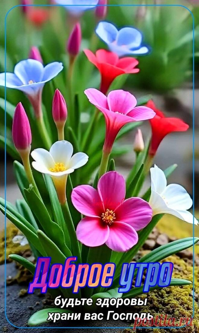 С добрым утром Привет Здрасте