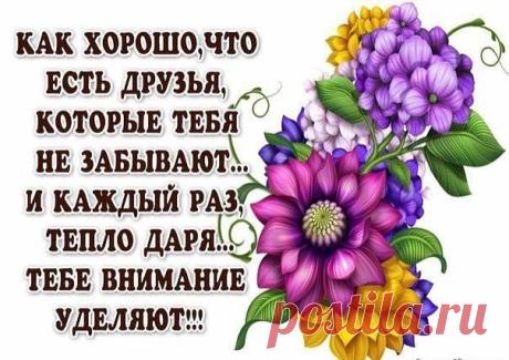 Тамара Лукичева