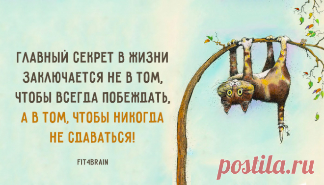 Тысячу раз ДА!