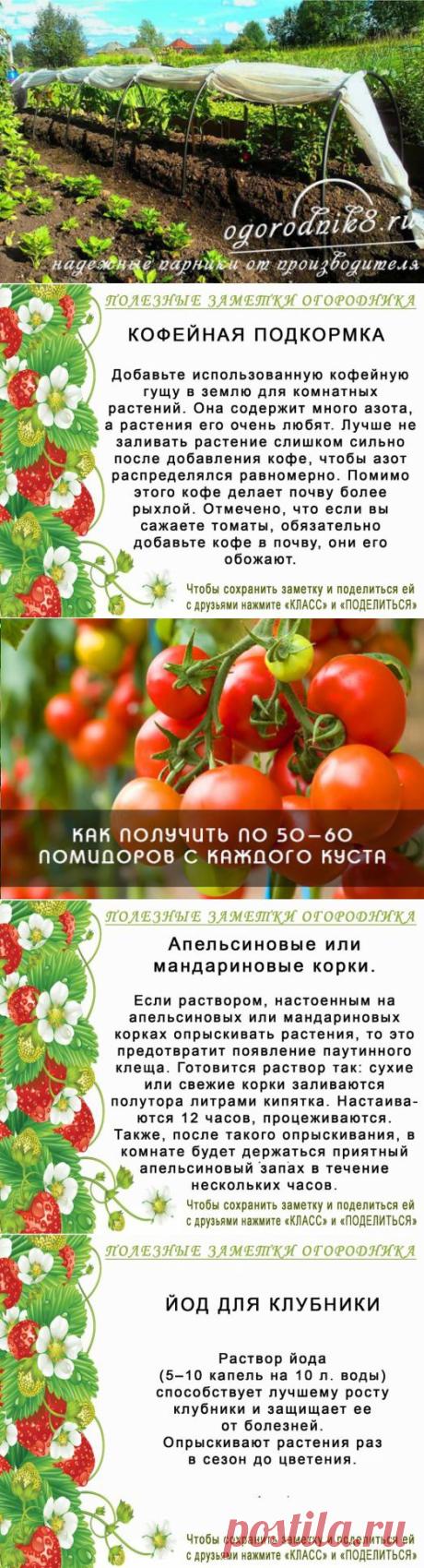 (63) Одноклассники