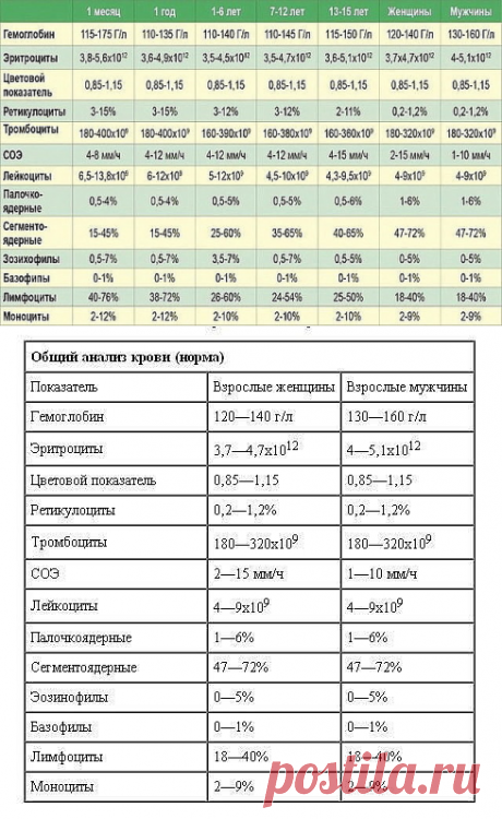 (66) Одноклассники