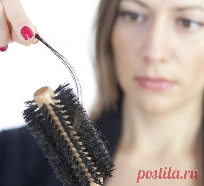 Как остановить выпадение волос: 3 натуральных средства
Многие люди страдают от сильного выпадения волос. Но помогут ли в этом случае домашние средства? Сегодня мы поделимся с вами несколькими проверенными вариантами.
 
Как остановить выпадение волос: 3 натуральных средства

Остановить выпадение волос — стремление многих, ведь это очень распространенная проблема. Из-за повышенного уровня стресса, которому мы все ежедневно подвергаемся, волосы могут редеть, терять объем и бл...