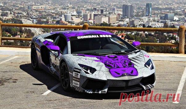 Lamborghini Aventador / Только машины