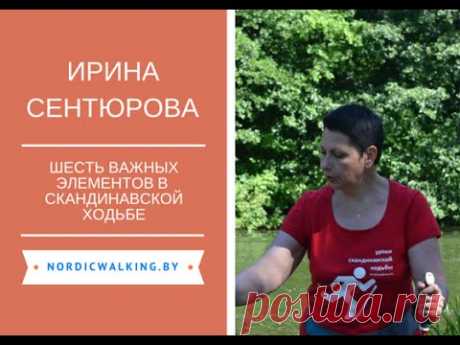 6 важных элементов в технике скандинавской ходьбы