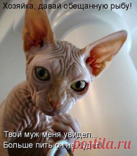 Интересные новости