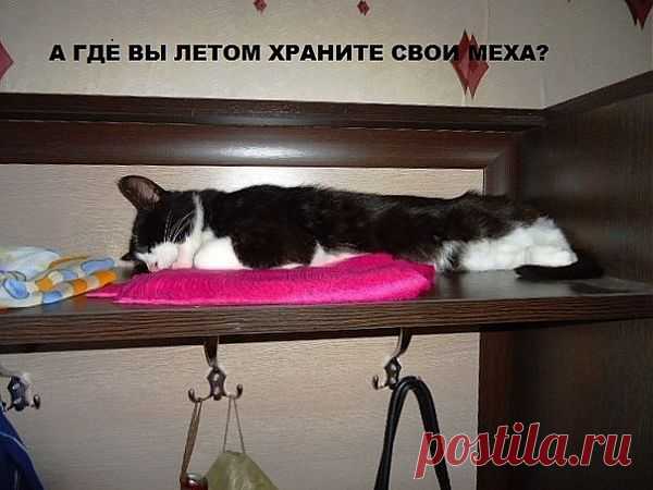 ))))