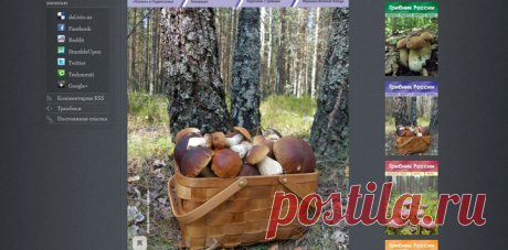 lazy_smart_crop_720x356 (720×356)