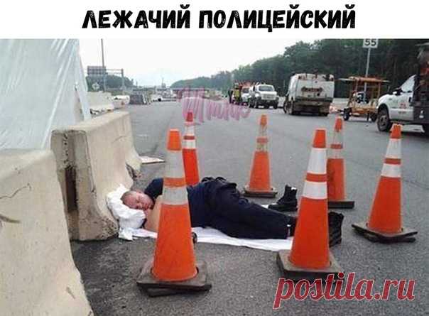 Шутник