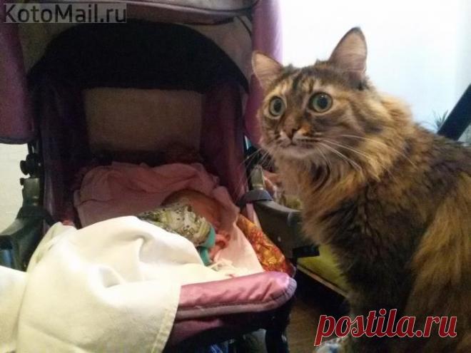 Не понимание на космическом уровне...