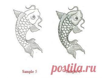 Как нарисовать рыбу карп