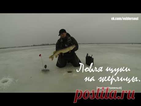 Ловля щуки на жерлицы в декабре. Зимняя рыбалка. Видео отчет от 3.12.2015 г.