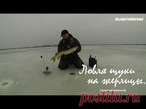 Ловля щуки на жерлицы в декабре. Зимняя рыбалка. Видео отчет от 3.12.2015 г.