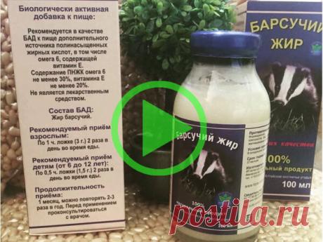 "Барсучий жир" полезные свойства и применение. | ОТВЕТ ДНЯ | Яндекс Дзен