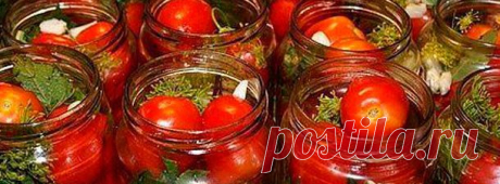 5 простых рецептов закруток с помидорами | pokolenie-x.com