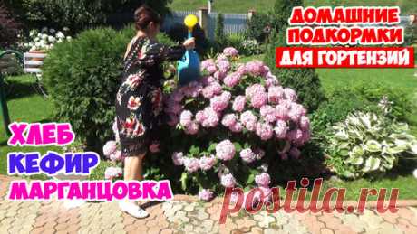 Статьи, новости и видео от популярных блогеров и СМИ | Будь в теме — будь в Дзене