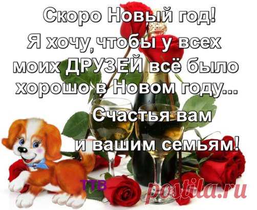 Верю, этот Новый год
Счастья много принесет.
Нам удачи целый воз
Приготовил Дед Мороз.
Спряталось в мешке его,
Что желали мы давно:
Много там здоровья, веры,
И любовь сидит, наверно.
Ну а также, радость, смех,
И, конечно же, успех.
Там богатство и признанье,
Красота и обаяние.
Каждый в том мешке найдет
То, чего от жизни ждет.
Счастья много принесет,
Верю, этот Новый год!