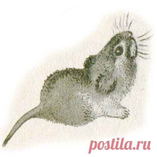 ХОРОШИЙ КОНЕЦ
