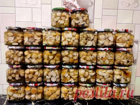 Рецепт приготовления маринада для благородных грибов «На мой вкус». | Alex PROvsЁ | Дзен