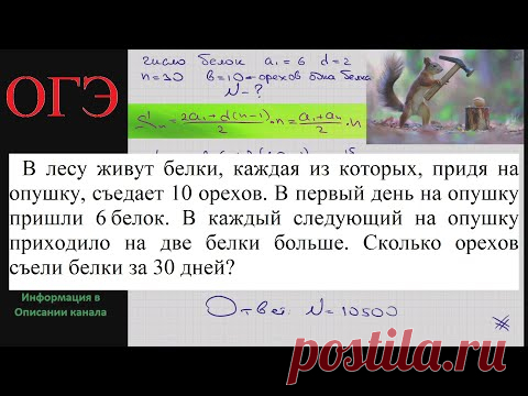 Математика В лесу живут белки каждая из которых придя на опушку съедает 10 орехов В первый день на