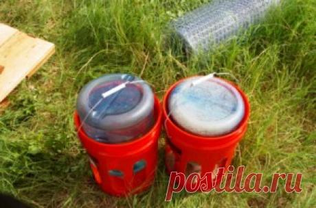 Кормушки для кур своими руками: инструкция по изготовлению