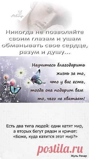 (50) Одноклассники