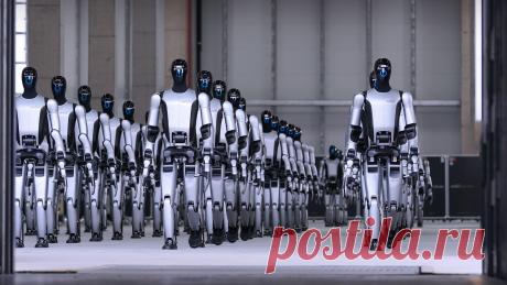 За последнее десятилетие бытовая робототехника превратилась из футуристической концепции в неотъемлемую часть современного дома. Умные помощники берут на себя рутинные задачи, экономя время и силы владельцев. Уже сегодня робототехника представлена в домах миллионов людей по всему миру, и этот рынок продолжает активно развиваться.