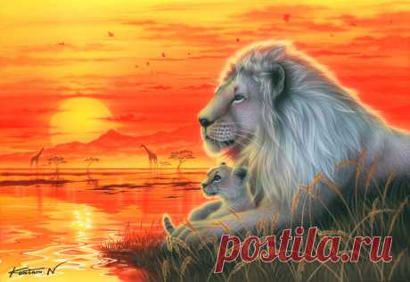 Восхитительные картины японского художника Kentaro Nishino