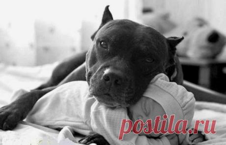 Мой Мир@Mail.Ru