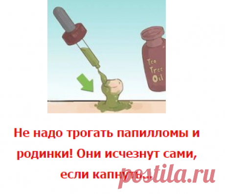 НАРОДНЫЕ РЕЦЕПТЫ