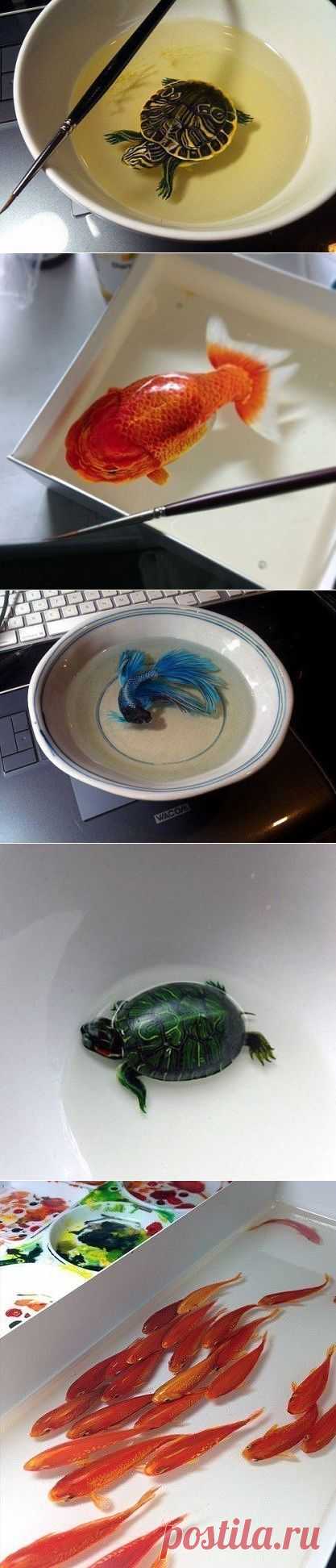 Одноклассники