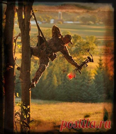 Найдено на сайте kezarphoto.com.