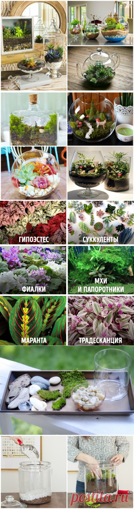 Как создать сказочный мини-сад своими руками