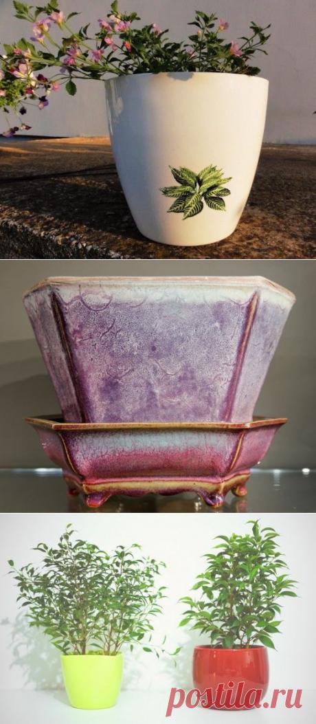 Выбираем горшки для ваших растений — Сад на подоконнике