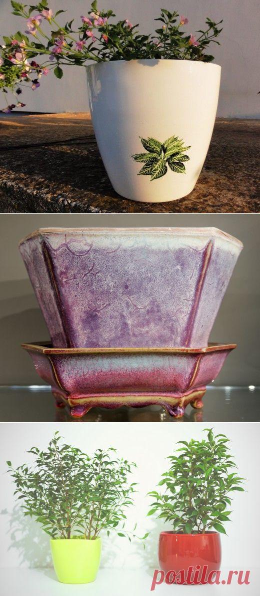 Выбираем горшки для ваших растений — Сад на подоконнике