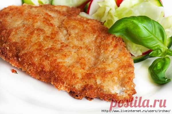 Куриные оладьи с сыром на кефире