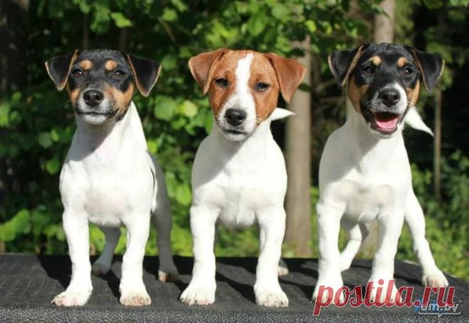 соцсети константин валерьевич сосницкий краснодар: 10 тыс изображений найдено в Яндекс.Картинках