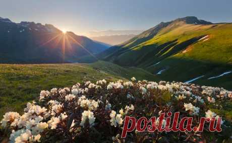 База отдыха Ольховая - Google+