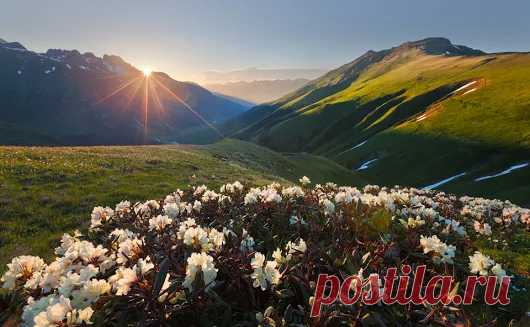 База отдыха Ольховая - Google+