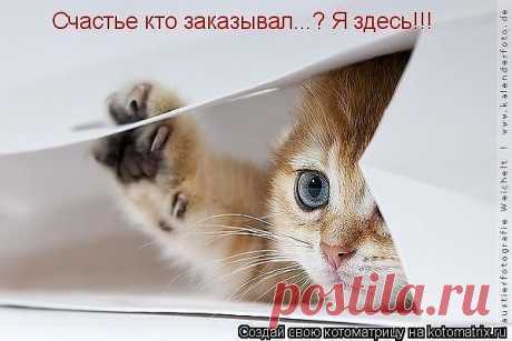Счастье заказывали?