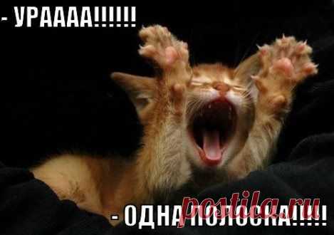 Порция кототерапии :)) | МАЛЕНЬКАЯ СТРАНА МС