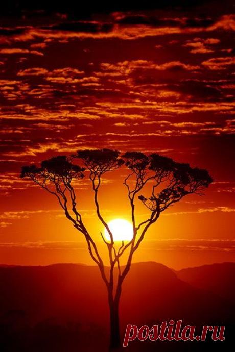 Найдено на сайте justcallmegrace.tumblr.com.