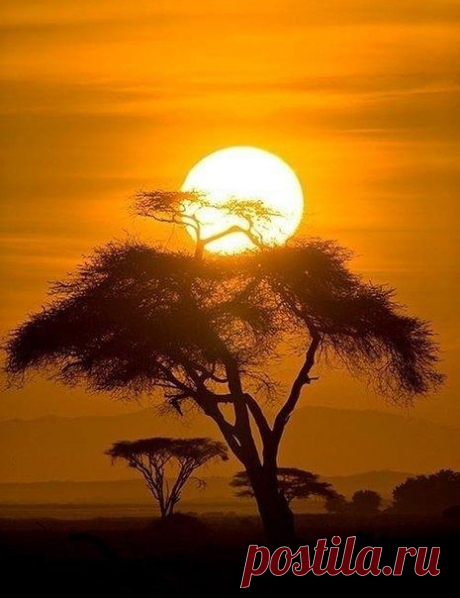 и сново - красотища!)