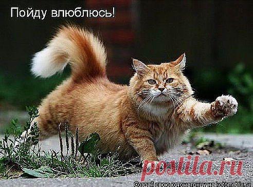 Лена Босс - 25 мая 2015 в 15:51