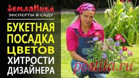 Невероятно обильное цветение и отсутствие сорняков. Петуния и годеция. Букетная посадка. 0+