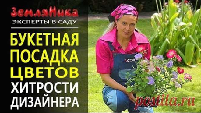 Невероятно обильное цветение и отсутствие сорняков. Петуния и годеция. Букетная посадка. 0+