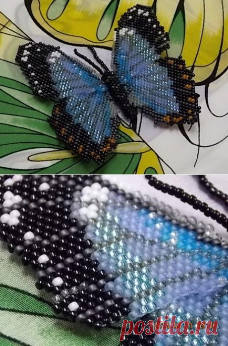"Бабочки-красавицы стайками летают" или "Морфо Эгей во всей красе" | biser.info - всё о бисере и бисерном творчестве