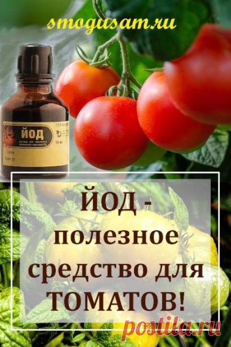 О пользе йода для томатов | Огород, Огород с помидорами, Сад