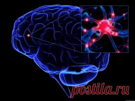 (6) Одноклассники