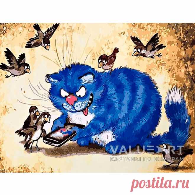 Синие коты - 61 фото - картинки: смотреть онлайн